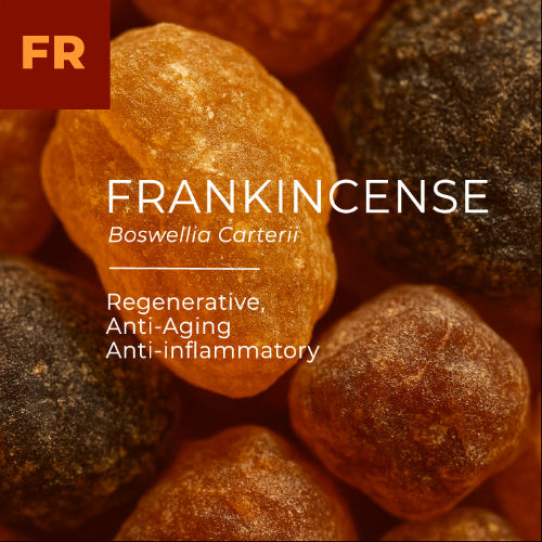 Close-up of frankincense resin with text highlighting its properties.