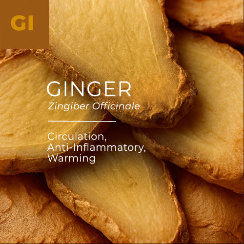 Close-up of ginger roots with text highlighting properties and benefits.
