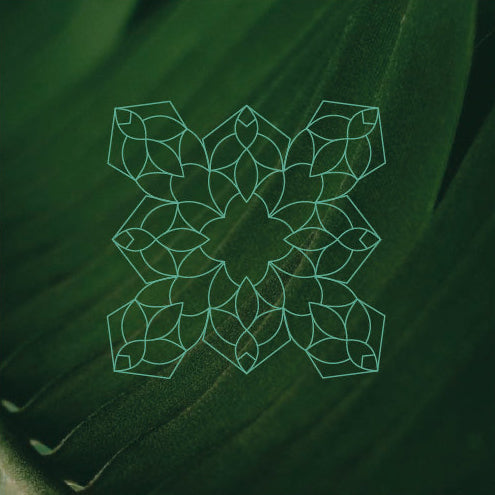 Glowing green geometric pattern on a dark green leaf