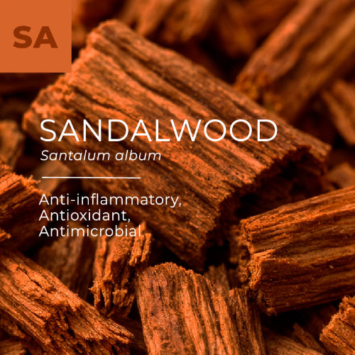 Close-up of sandalwood pieces with text highlighting properties and scientific name.