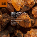 Benzoin Resin (Styrax benzoin)