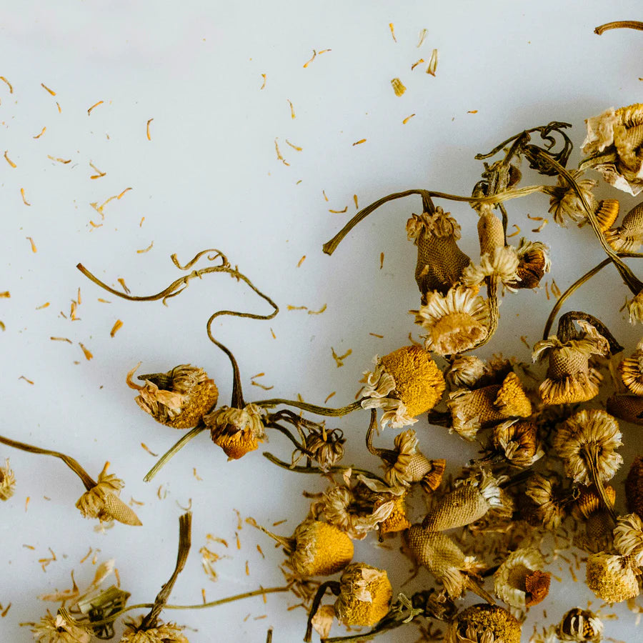 Dried yellow flowers and green stems on a light blue background