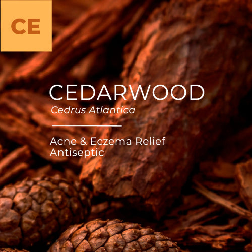 Close-up of cedarwood with text indicating its uses and scientific name.