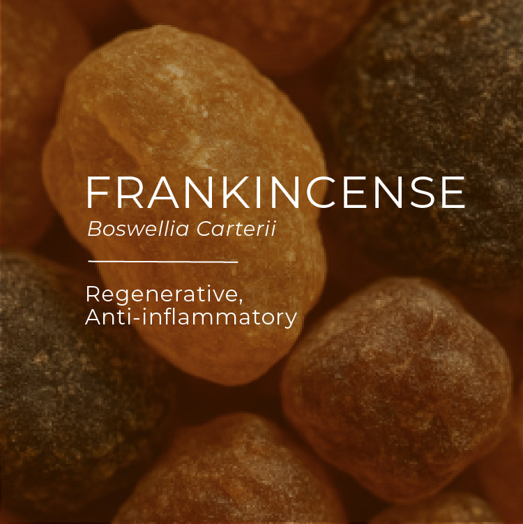 Close-up of frankincense resin with text indicating species and properties.