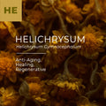 Helichrysum Essential Oil (Helichrysum italicum)