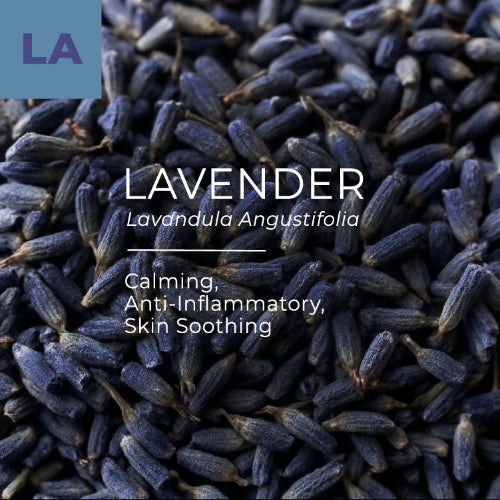 Close-up of lavender flowers with text highlighting its properties.