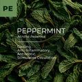 Peppermint Essential Oil (Mentha × piperita)