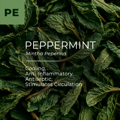 Dried peppermint leaves with text detailing properties and scientific name.