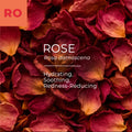 Rose Essential Oil (Rosa damascena)