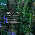 Rosemary Essential Oil (Rosmarinus officinalis)